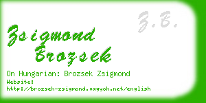 zsigmond brozsek business card